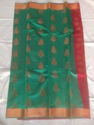 PL BIG BUTTA SAREE